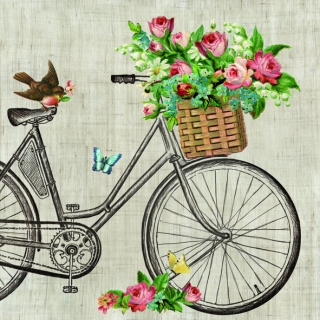 Ubrousky Ambiente Robin on bike 33x33 cm